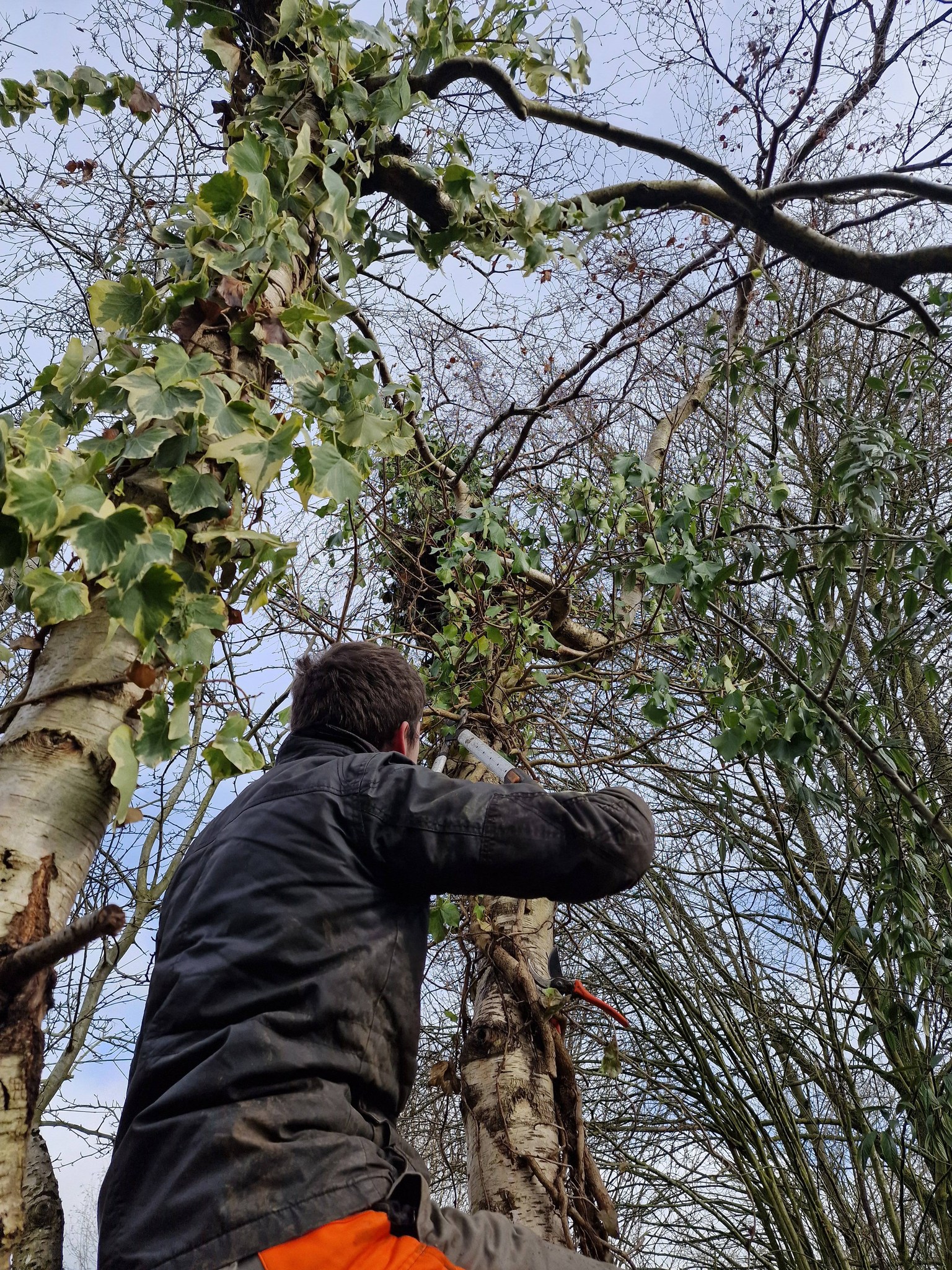 Landscaping project by Mindful Gardens